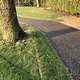 Tree Zone